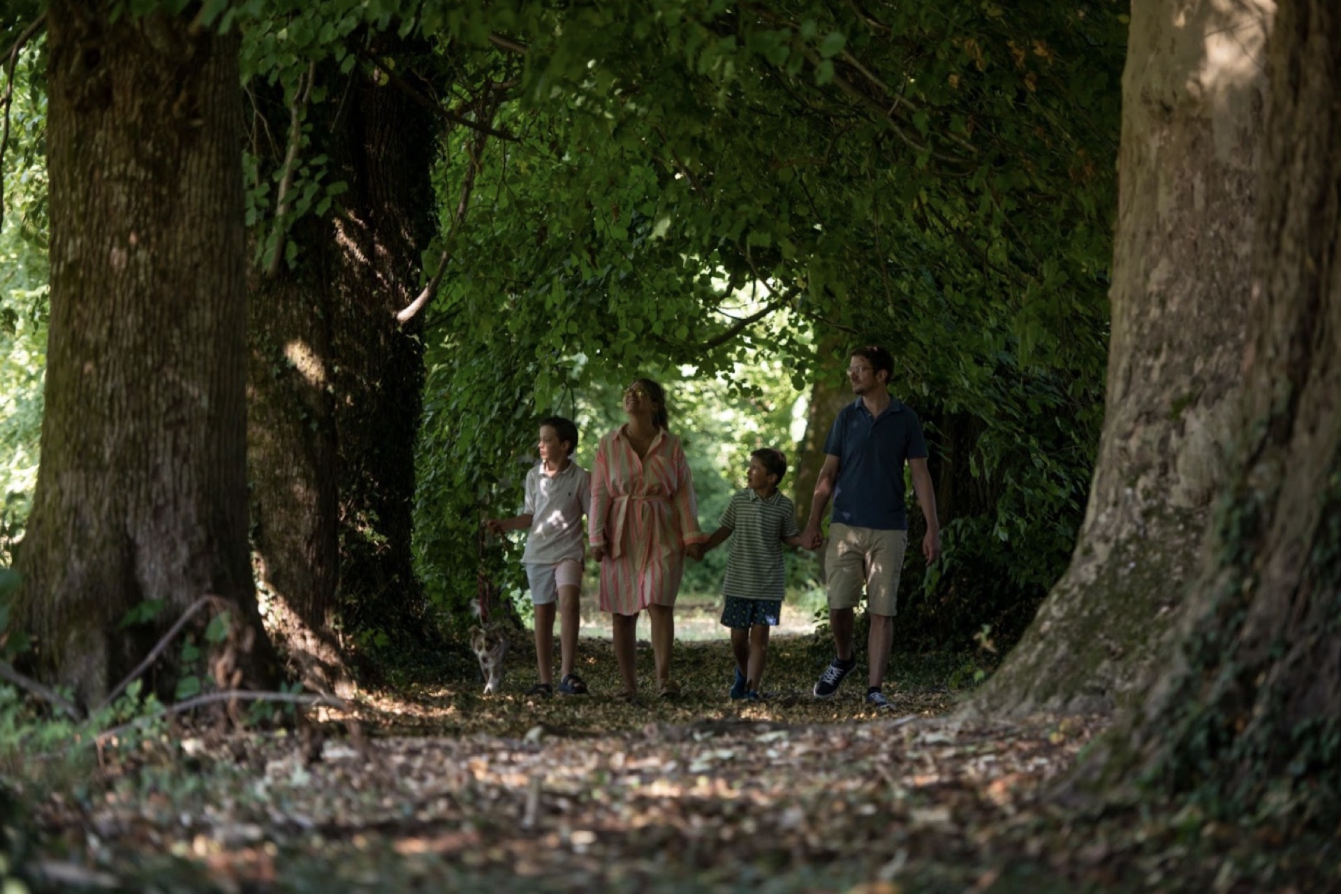 Le parc de 4 hectares du château